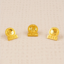 標(biāo)識國家電網(wǎng)胸微