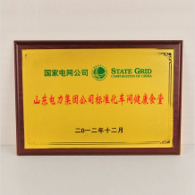 國家電網(wǎng)獎牌