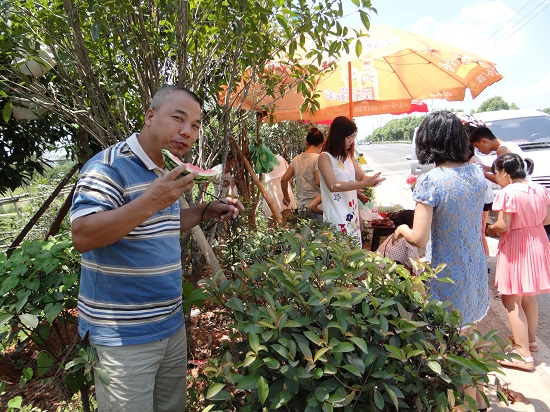 前往漂流地途中吃西瓜