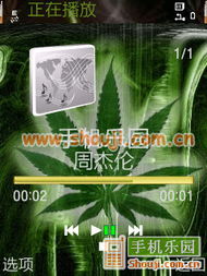 綠色煙草 傳統與現代的交織